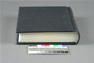 Bradel Case